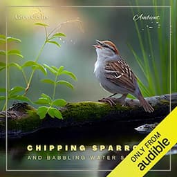 Chipping Sparrow and Babbling Water Stream