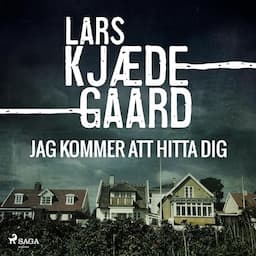 Jag kommer att hitta dig