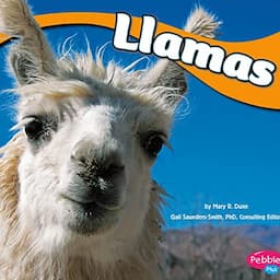 Llamas