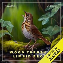 Wood Thrush in Limpid Brook