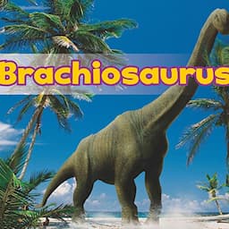 Brachiosaurus