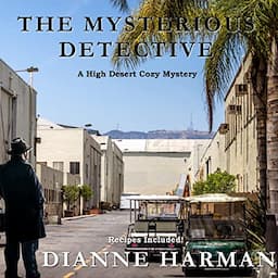 The Mysterious Detective