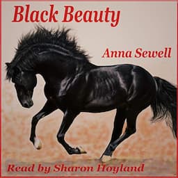 Black Beauty