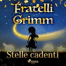 Stelle cadenti