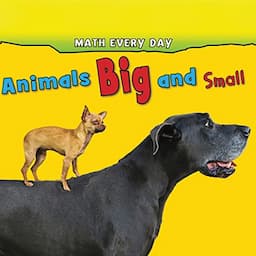 Animals Big and Small