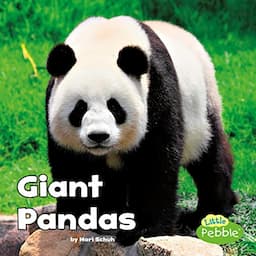 Giant Pandas