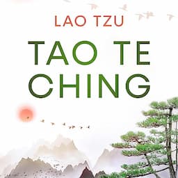 Tao Te Ching (Dutch Edition)