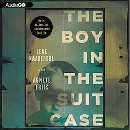 The Boy in the Suitcase