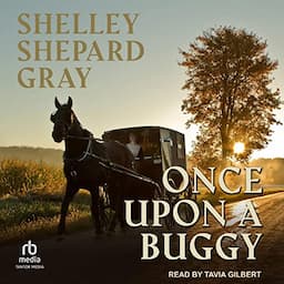 Once upon a Buggy