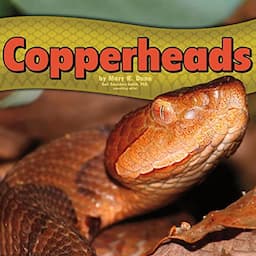 Copperheads