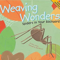 Weaving Wonders