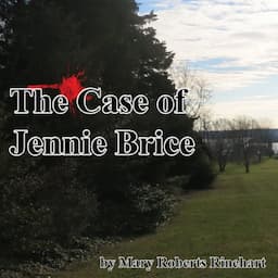 The Case of Jennie Brice