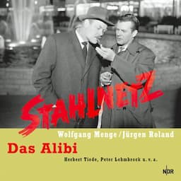 Stahlnetz. Das Alibi