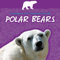 Polar Bears