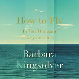 How to Fly (in Ten Thousand Easy Lessons)