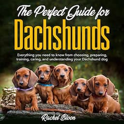 The Perfect Guide for Dachshunds