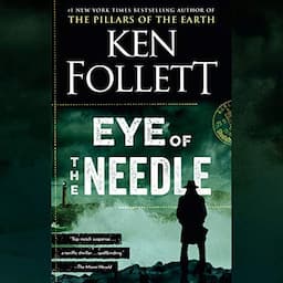 Eye of the Needle