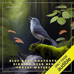 Blue-gray Gnatcatcher Singing Near Gentle Forest Waterfall