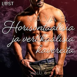 Horisontaalisia ja vertikaalisia kavereita - eroottinen novelli