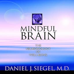 The Mindful Brain