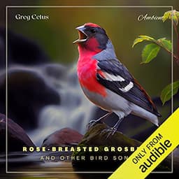 Rose-Breasted Grosbeak and Other Bird Songs