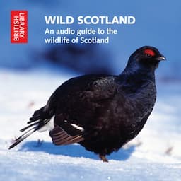 Wild Scotland