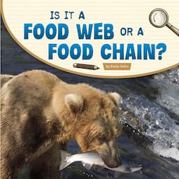 Is It a Food Web or a Food Chain?