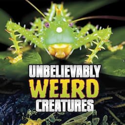 Unbelievably Weird Creatures