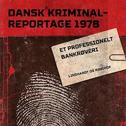 Et professionelt bankr&oslash;veri