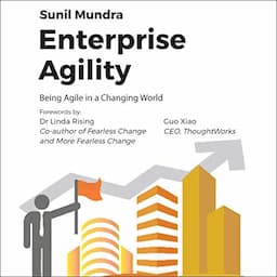 Enterprise Agility