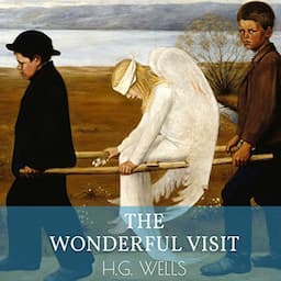 The Wonderful Visit