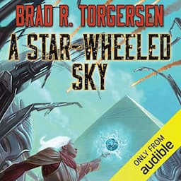 A Star-Wheeled Sky