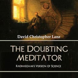 The Doubting Meditator