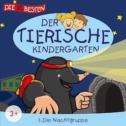 Die Nachtgruppe