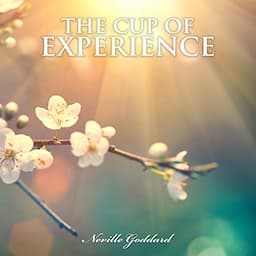 The Cup of Experience