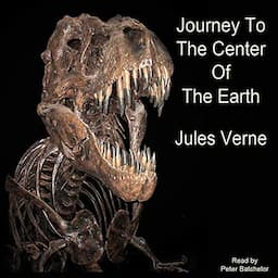 A Journey to the Center of the Earth