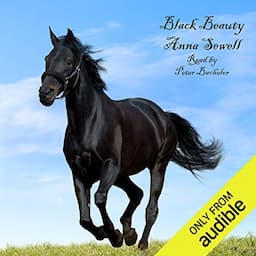 Black Beauty