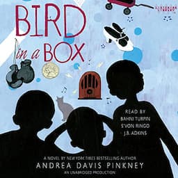 Bird in a Box