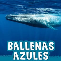 Ballenas azules [Blue Whales]