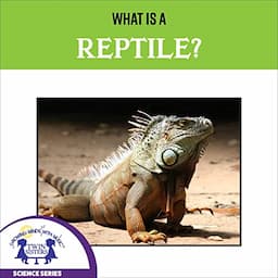 What Is a Reptile?