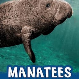 Manatees