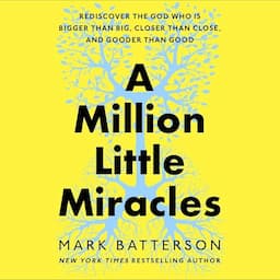 A Million Little Miracles