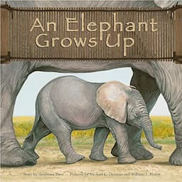 An Elephant Grows Up