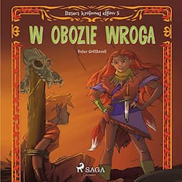 W obozie wroga