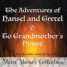 The Adventures of Hansel and Gretel &amp; To Grandmother&rsquo;s House