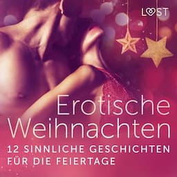 Erotische Weihnachten - 12 sinnliche Geschichten f&uuml;r die Feiertage