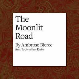 The Moonlit Road