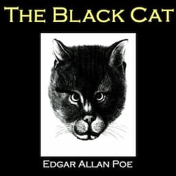 The Black Cat