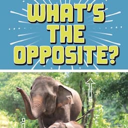 What's the Opposite?: A Turn-and-See Book