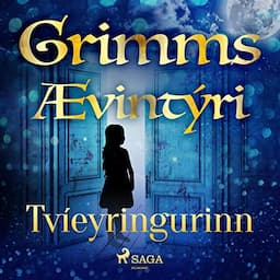 Tv&iacute;eyringurinn